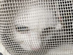 -瑞鹏瑞爱宠物医院·全科·猫科·血液透析中心(龙头寺店)