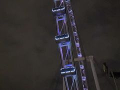 -新加坡摩天观景轮