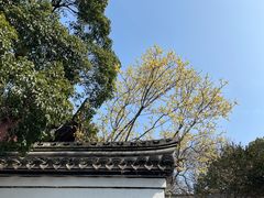 -宁波市保国寺古建筑博物馆