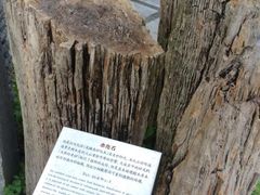 -太鲁阁公园