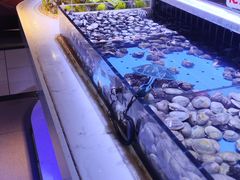 -聚盛源蒸汽海鲜火锅烤肉自助(巨川金海岸购物广场店)