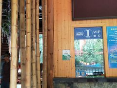 -将军关探险漂流