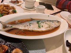 -喜来登由由大酒店九州膳坊中餐厅