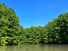 -上海海湾国家森林公园