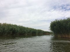 -乌梁素海景区