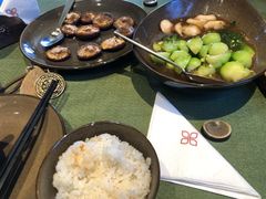 -松赞拉萨林卡酒店