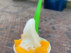 -Salud撒露欧洲冻酸奶(蓝色港湾店)