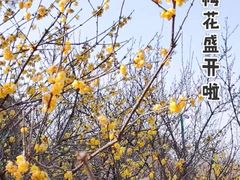 -无锡梅园公园