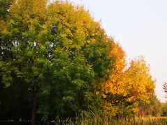 -北坞公园