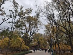 -森林公园(尖草坪区)