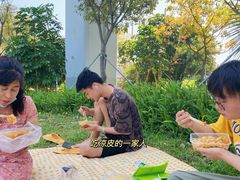 -宝安西湾红树林湿地公园