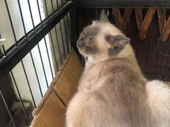 -苏州人家(锦溪镇店)