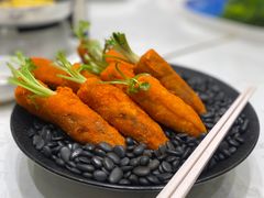 -丁老爷子苏香圆
