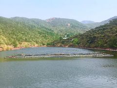 -徂徕山森林康养度假谷温泉