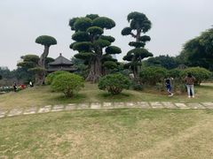 -南宁南湖公园