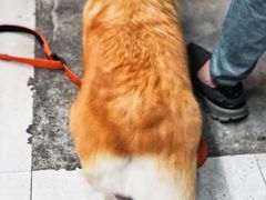 -小梁哥云吞面(黄贝岭店)