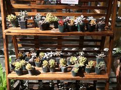 -慢丽江·云南野生菌土鸡锅(西山店)