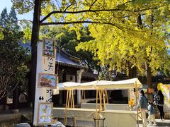 -常熟方塔园