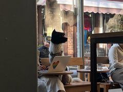 -VOYAGE COFFEE 咖啡烘焙工坊店(798艺术区店)