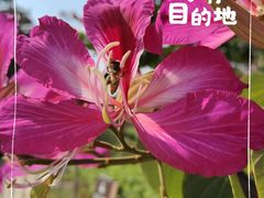 -深圳野生动物园