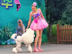 -西安秦岭野生动物园