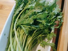 -手选潮汕鲜牛肉火锅(二七广场店)