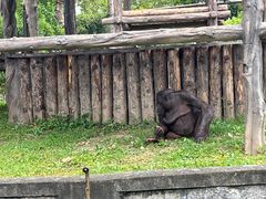 -上海野生动物园