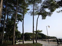 -深圳湾公园(南山区)