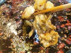 -大江美蛙鱼火锅(都江堰店)