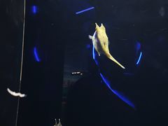 -海合安武汉极地海洋公园