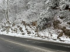 -庐山风景区花径公园