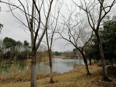 -梁鸿国家湿地公园