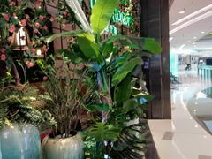 -原味田园·客家菜·土窑鸡(中航城君尚购物中心店)