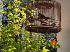 -31号公馆(黄兴广场白果园店)