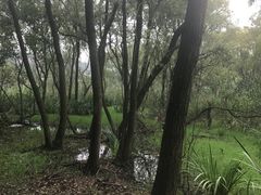 -西湖风景区-江洋畈生态公园