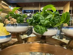 -烹然四季椰子鸡火锅(团结湖总店)