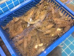 -老渔翁海肠捞饭(幸福九村店)