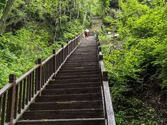 -天女山森林公园