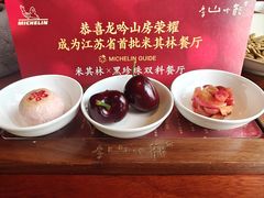 -龙吟山房(青龙山庄店)