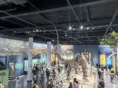 -国家自然博物馆