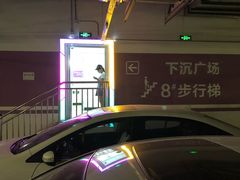 -中国人民解放军总医院(301医院)