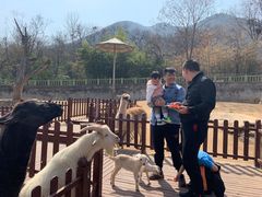 -西安秦岭野生动物园