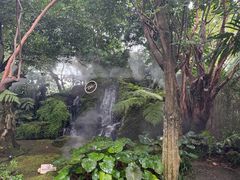 -Chom Cafe and Restaurant