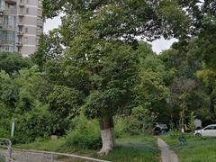 -南京市实验幼儿园