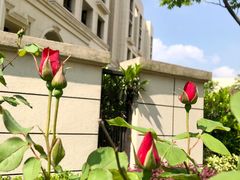 -陈记锅盖面(长江路店)