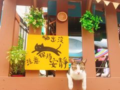 -大澳