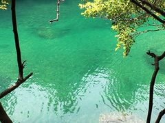 -石台牯牛降景区