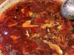 -紫光园·烤鸭(吕家营店)