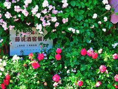 -元大都城垣遗址公园