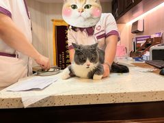 -宠爱国际动物医院·消化内科·心肾内科·ISFM猫友好(望京店)